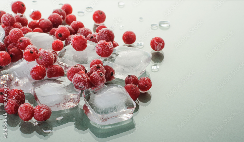 frozen red currants and ice cubes on green glossy background. copy space frozen red currants and ice cubes on green glossy background. copy space