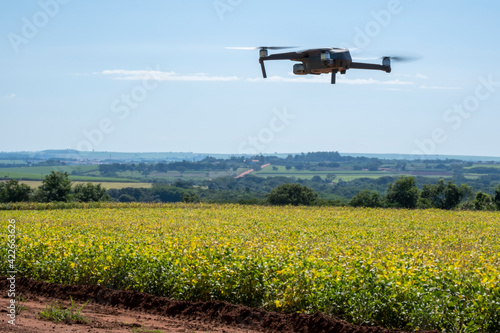 drone flying over soy plantation on sunny day in Brazil