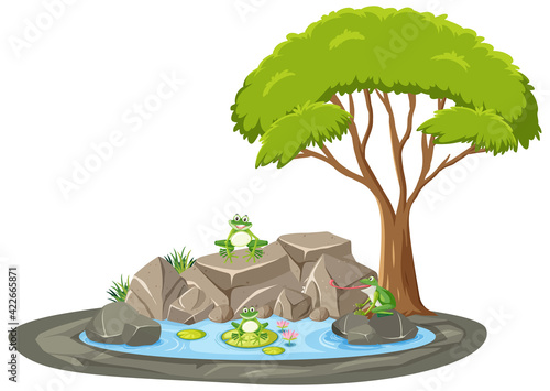 Isolated scene with many frog around the pond