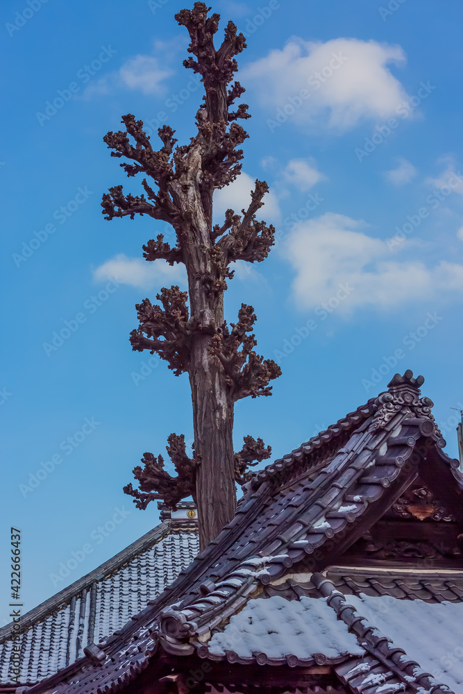 Fototapeta premium 瓦屋根 