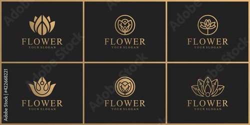 collection of natural flower logos