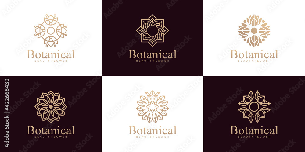 Fototapeta premium Collection of botanical ornaments, luxury line art style logo