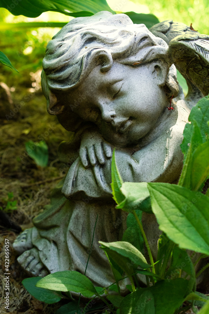 statue of an angel in the garden 