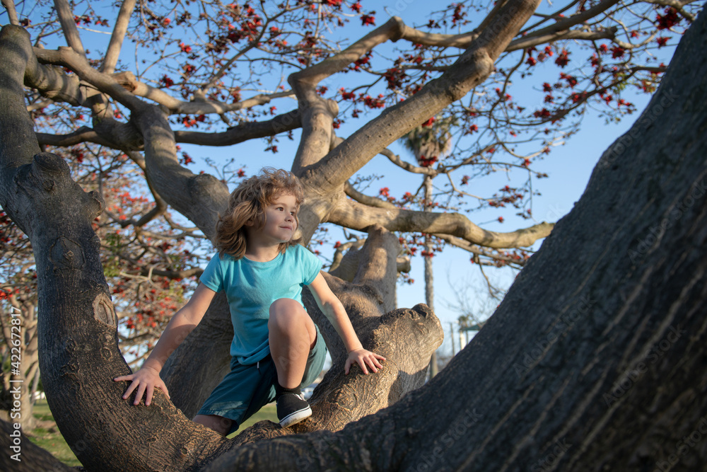 Little kid on a tree branch. Child climbs a tree. - obrazy, fototapety, plakaty 