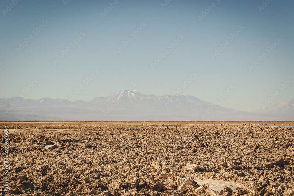 Volcanic landscape of Salar de Atacama