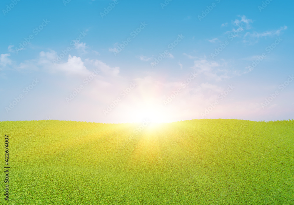 3d rendering. Green grass field with clouds and sun over blue sky background. Nature landscape.