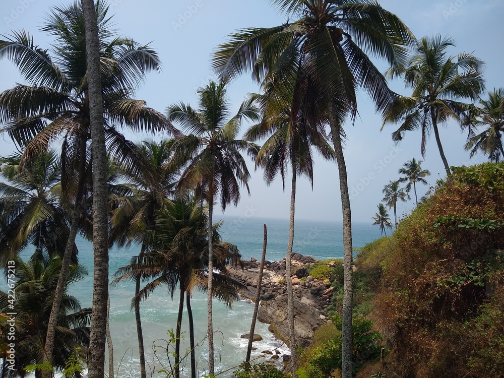 coconut trees and cliff, Kovalam beach seascape view Thiruvananthapuram Kerala