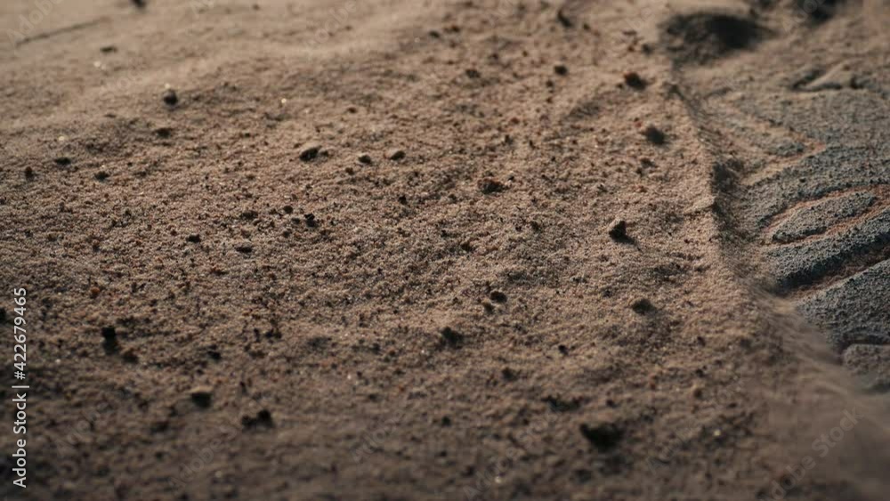 Human Symbol In Ancient Writing Uncovered Human Symbol In Ancient Writing Uncovered