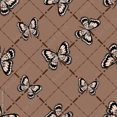Beautiful butterflies on a graphic background. Dotted line. Isolated background.