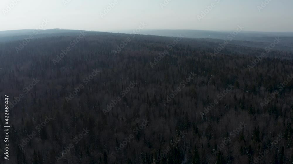 Aerial view of the endless forest Aerial view of the endless forest