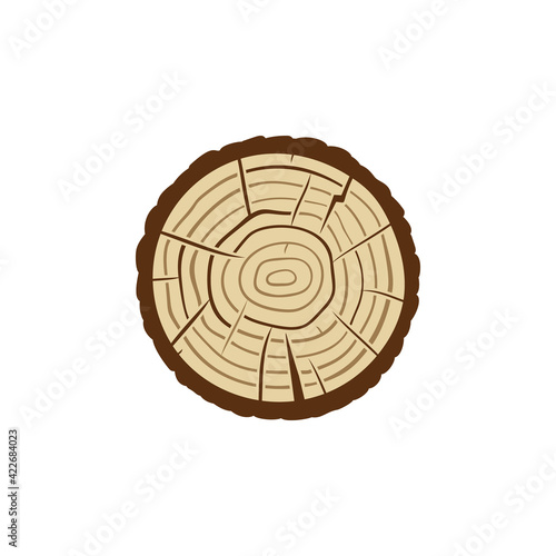 Tree Trunk Slice with Growth Rings vector colored icon