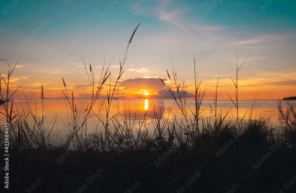 Bright sunset on the sea with spikelets of field grass Koh Phangan, Thailand