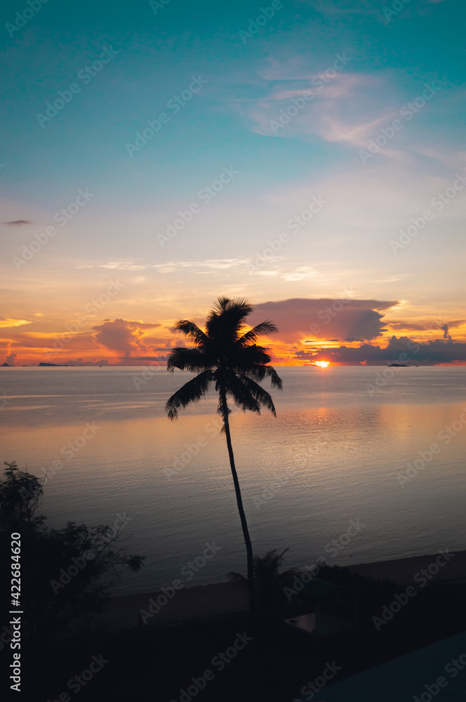 Colored sunset overlooking the sea and palm tree, Koh Phangan, Thailand