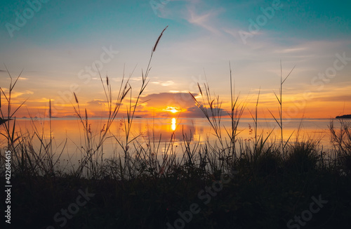 Bright sunset on the sea with spikelets of field grass Koh Phangan  Thailand