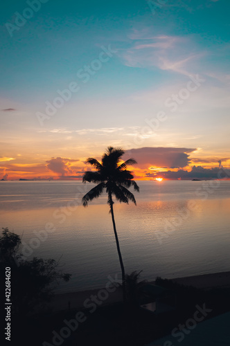 Colored sunset overlooking the sea and palm tree, Koh Phangan, Thailand