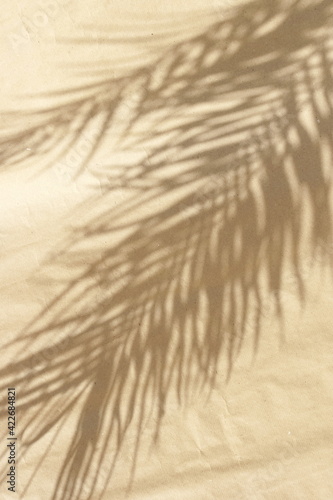 palm leaves shadow background on beige paper texture .Tropics minimalist abstract backdrop. poster © irenastar