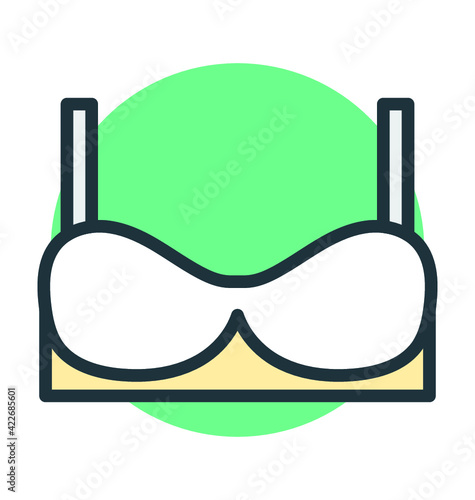 Bra Vector Icon