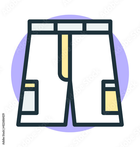 Bermuda Short Vector Icon