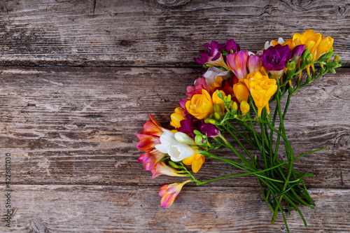 Multi-colored freesias on old wooden background