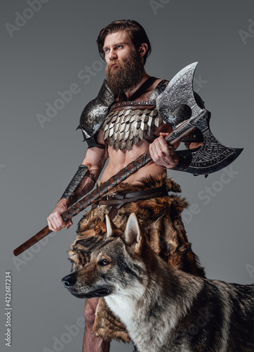 Powerful viking with axe and wild wolf moving away in gray background