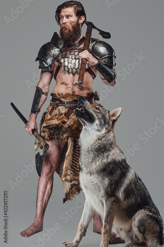 Authentic warrior from the nord holding two axes and posing with a wolf