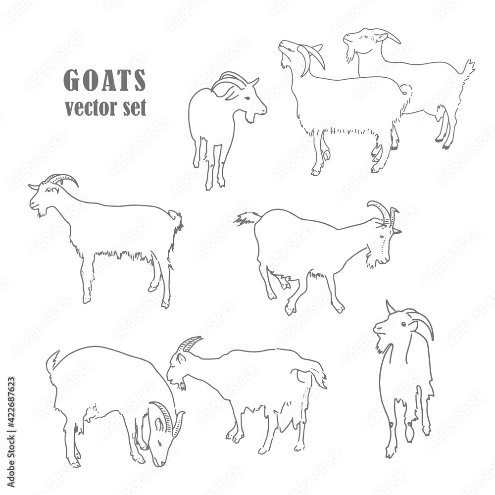 goats vector set