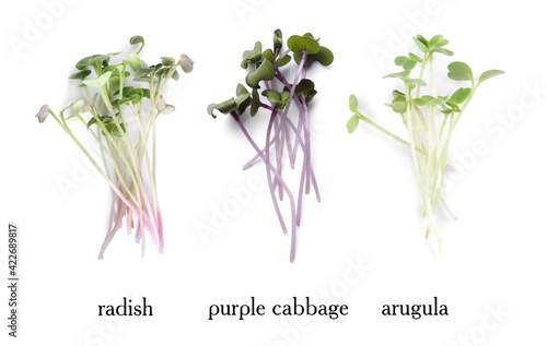 Wallpaper Mural Set of different fresh microgreens on white background, top view. Banner design Torontodigital.ca