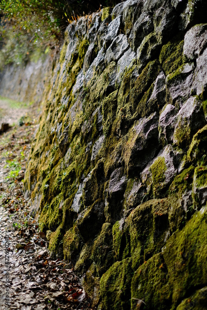Japanese old stone wall of a castle