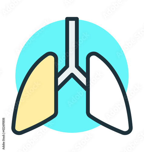 Human Lungs Vector Icon