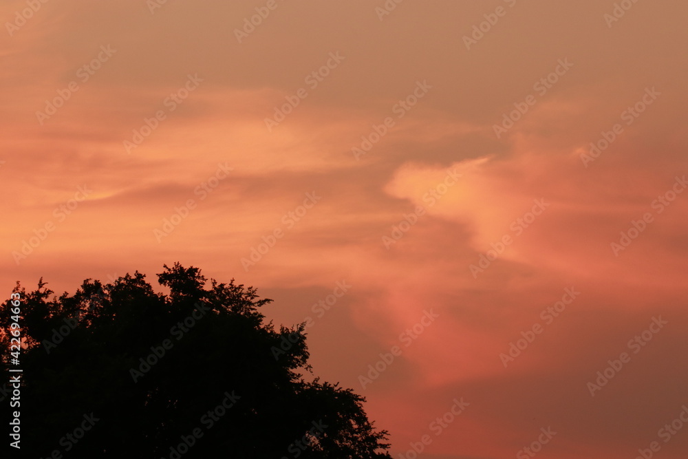 Fototapeta premium Beautiful light and cloudy sky in the morning