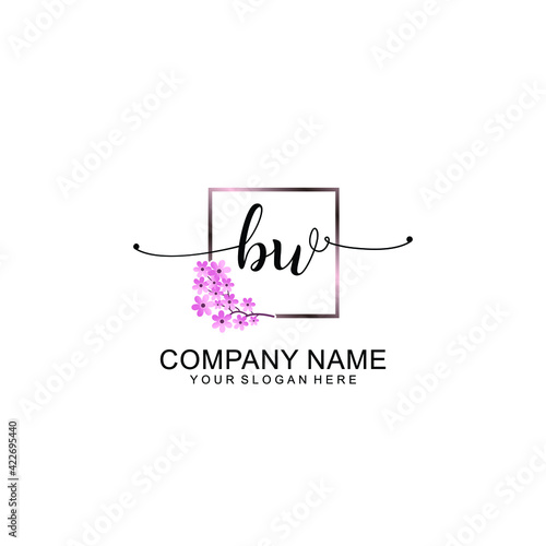 BW Initials handwritten minimalistic logo template vector