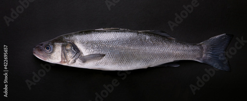 Fotografía sea bass fish  over black background, panoramic image