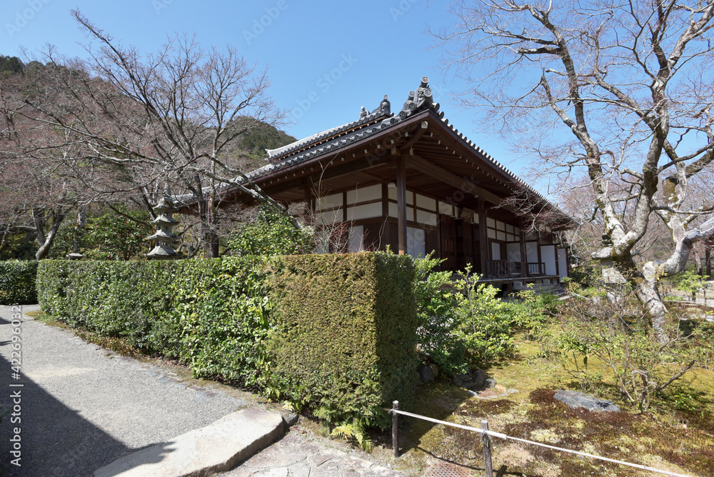 常寂光寺 本堂 京都市嵯峨 常寂光寺 本堂 京都市嵯峨
