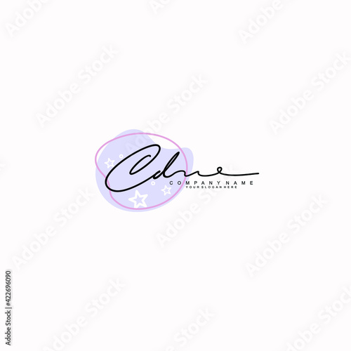 CD Initials handwritten minimalistic logo template vector