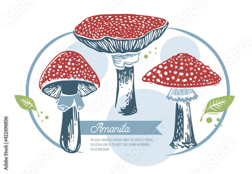 A set of art-drawn mushrooms in a graphic style with the inscription 