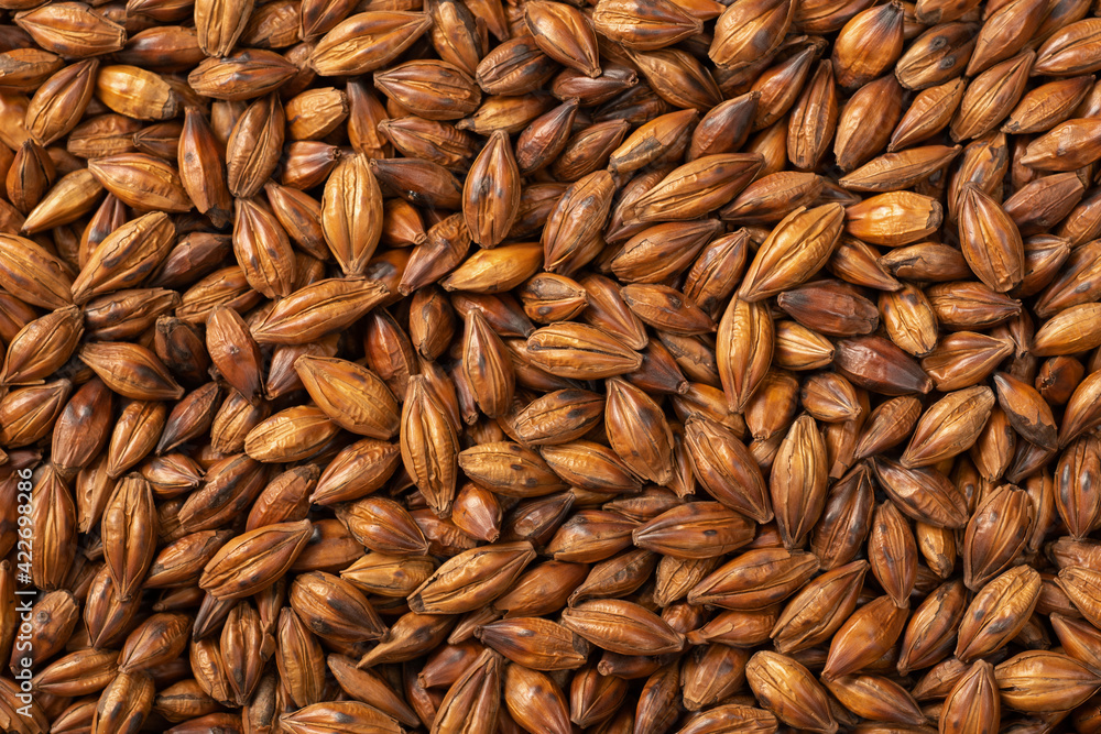 food background of Barley Tea, top view food background of Barley Tea, top view
