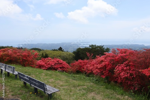 фотографія 田束山のツツジ群生地の風景　（宮城県南三陸町歌津）