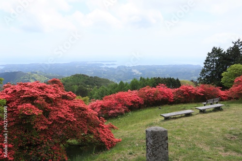 田束山のツツジ群生地の風景　（宮城県南三陸町歌津）