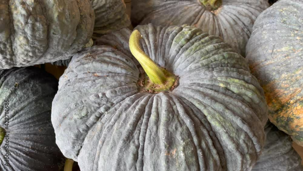 Asian pumpkins are placed in large numbers. Asian pumpkins are placed in large numbers.