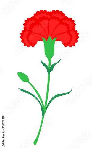 red carnation flower vector illustration