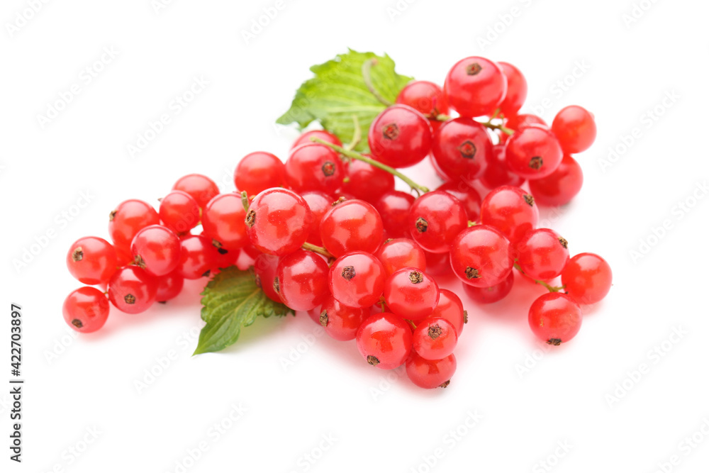 Fresh red currants with leafs isolated on white background