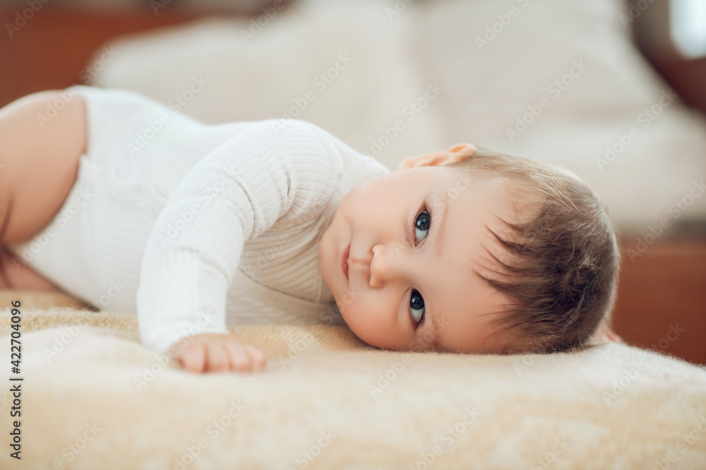 Calm little baby lying on his stomach Calm little baby lying on his stomach