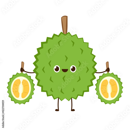 Durian character design. Durian on white background. Durian cartoon vector.
