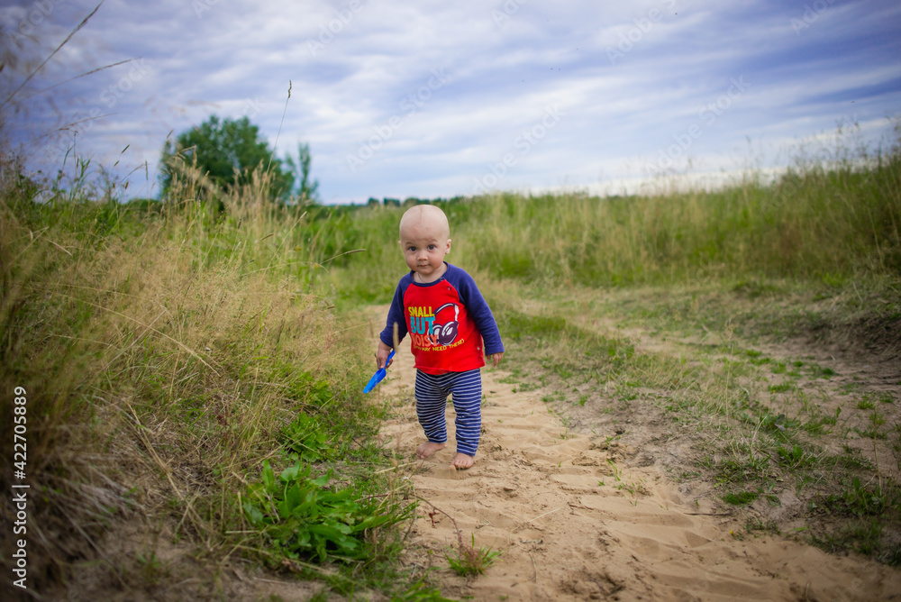 little boy walks in nature in summer, selective focus