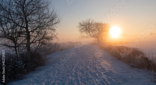 Schneelandschaft - Winter im Teufelsmoor bei Sonnenaufgang  © UlrikeAdam