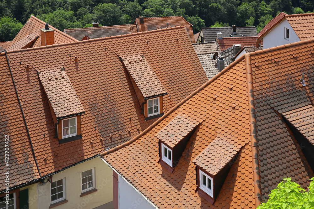 Dächer von Neuleiningen