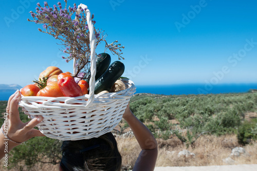 Basket of seasonal vegetables from organic farming with a sky background.