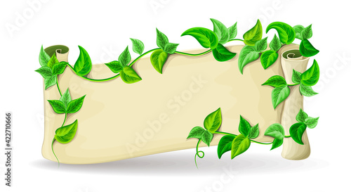 banner with green leaves of tropical liana. paper scroll with space for text vector cartoon illustration. parchment, papyrus, map icon isolated on white. summer exotic, tropical theme or eco concept