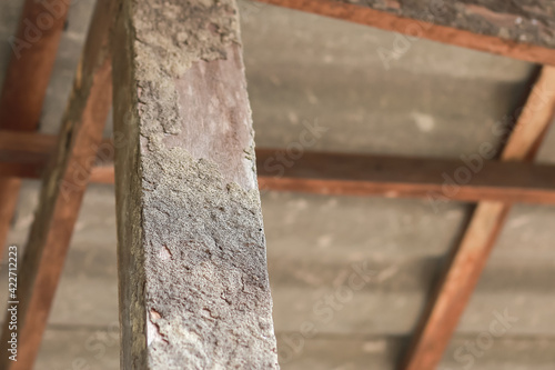 Close-up of old wooden house pillar There are traces of termites. The wooden pole looks dangerous. Should be protected from termites. Or should change to a steel a pole