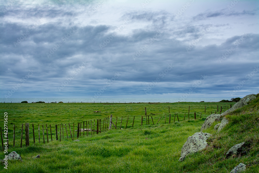 Green fields at the foot of a hill covered with antient boulders. Steel gray ocean under dramatick stormy sky in background. Cape Egmont, New Zealand